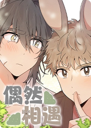 偶然相遇漫画免费阅读_偶然相遇在线漫画观看