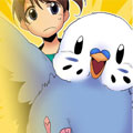 小鹦鹉饲养日记漫画免费阅读_小鹦鹉饲养日记在线漫画观看