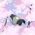 麻雀和黑雁漫画免费阅读_麻雀和黑雁在线漫画观看
