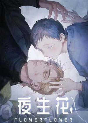 夜生花漫画免费阅读_夜生花在线漫画观看